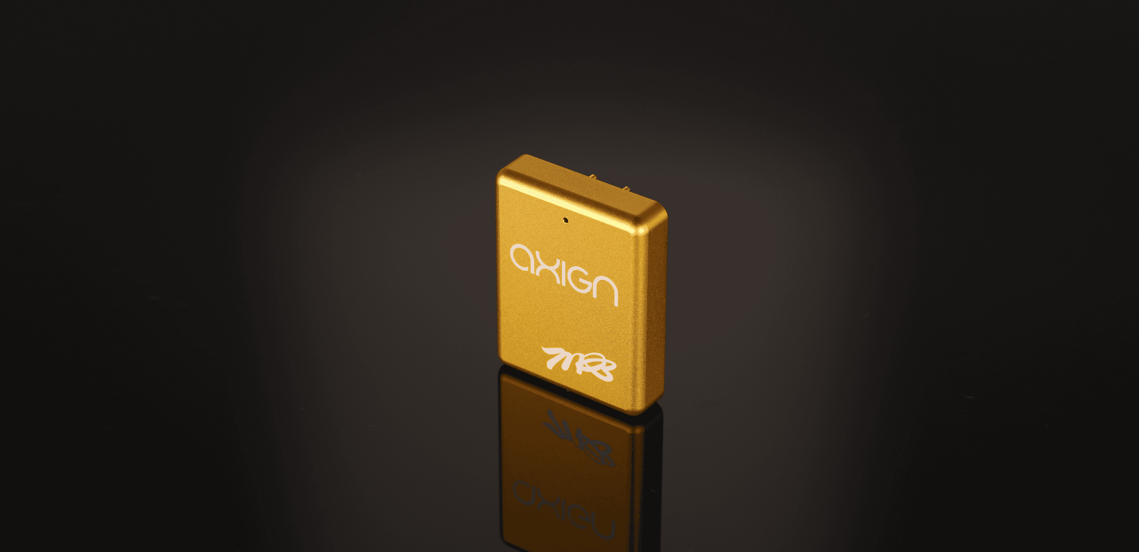 Gold Axign amplifier module